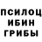 Псилоцибиновые грибы Magic Shrooms Clever Cash