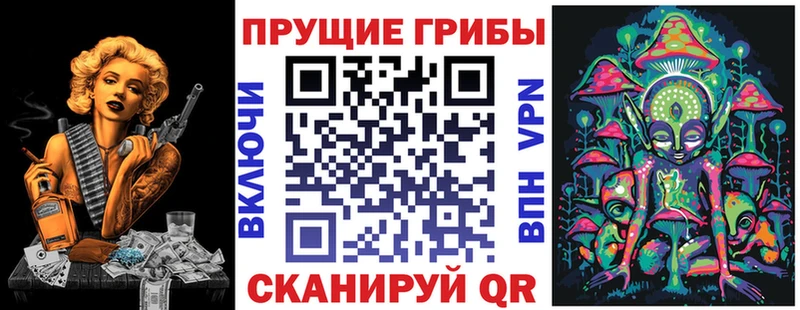 Псилоцибиновые грибы Psilocybine cubensis  сколько стоит  KRAKEN онион  Новоульяновск 